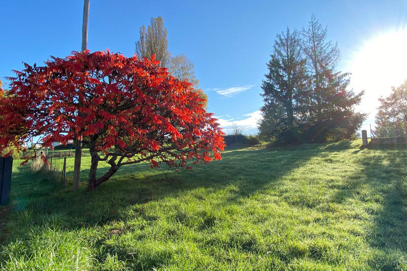 Terrain constructible - 1 034 m²