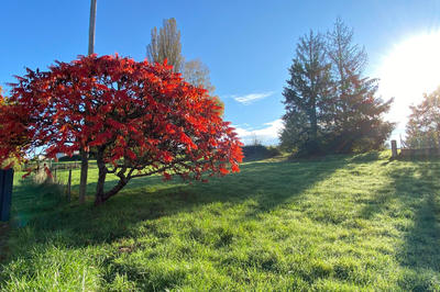 Terrain constructible - 1 034 m²