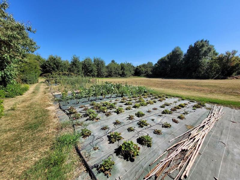 Maison - 283 m² - 8 pièces