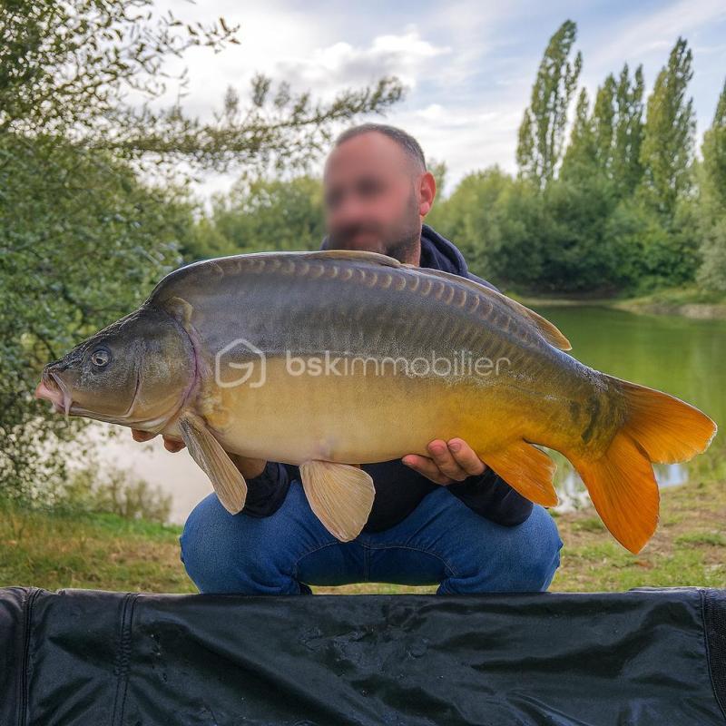 Terrain de loisirs - 10 885 m²