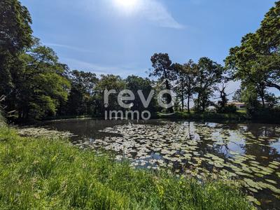 Étang - 8 580 m²