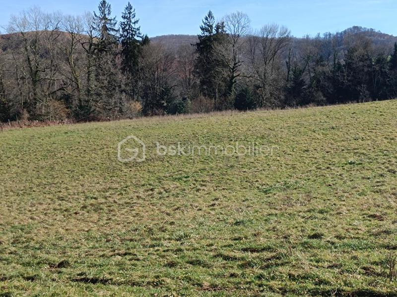 Terrain - 1 230 m²
