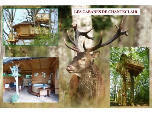 Les Cabanes de Chanteclair