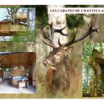 Les Cabanes de Chanteclair