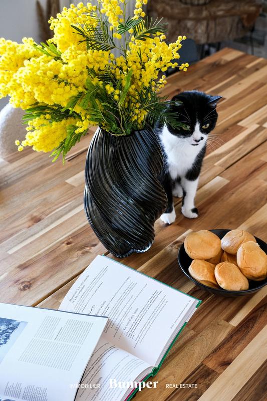 Appartement - 83 m² - 3 pièces