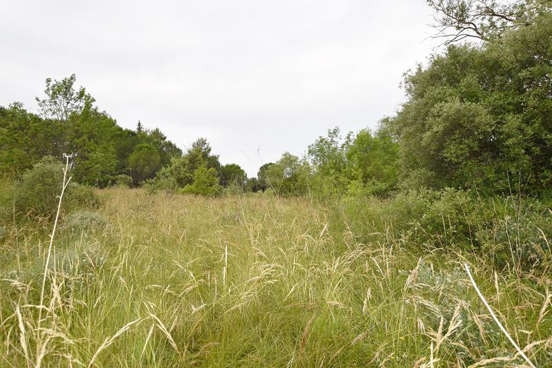 Terrain agricole - 2 005 m²