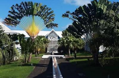 Appartement - 40 m² - 3 pièces