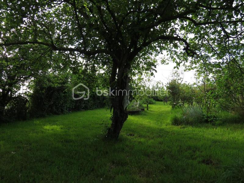 Maison ancienne - 131 m² - 6 pièces