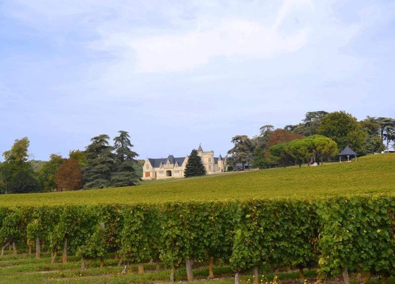 Manoir - 980 m² - 12 pièces