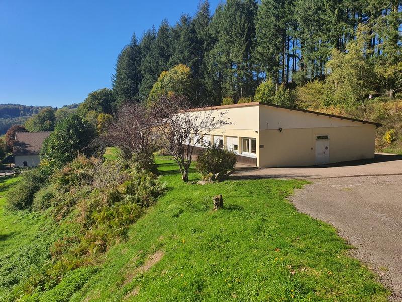Propriété - 482 m² - 20 pièces