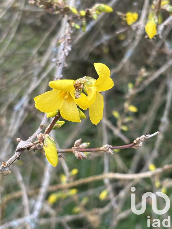 Maison - 220 m² - 6 pièces