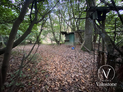 Terrain de loisirs - 60 770 m²