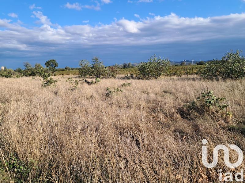 Terrain agricole - 29 000 m²