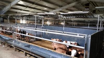 Corps de ferme - 230 m² - 5 pièces