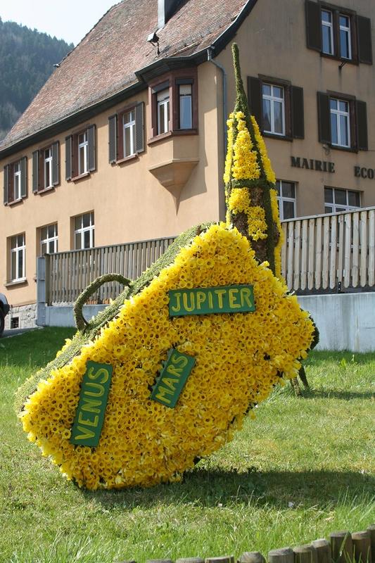 31ème fête de la jonquille