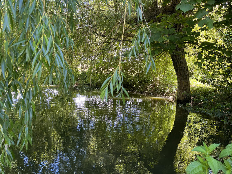 Maison - 130 m² - 4 pièces