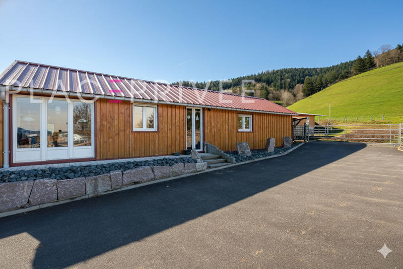 Maison de domaine équestre - 320 m² - 11 pièces