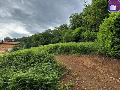 Terrain constructible - 2 292 m²