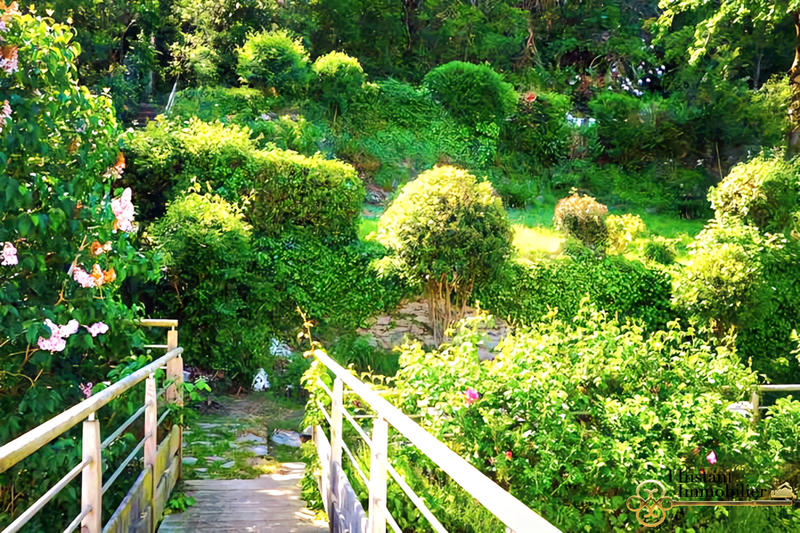 Maison - 282 m² - 10 pièces