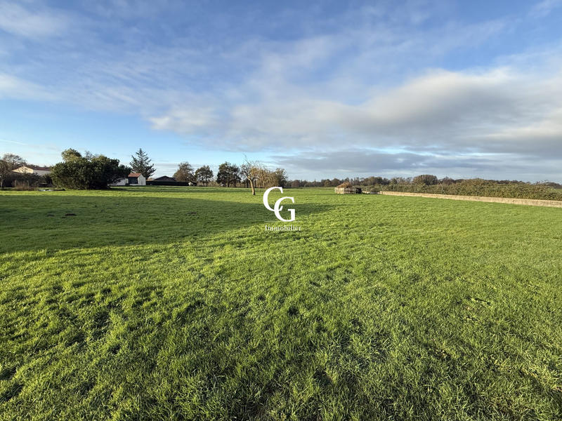 Maison - 144 m² - 5 pièces