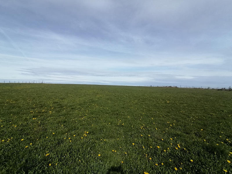 Terrain - 11 117 m²