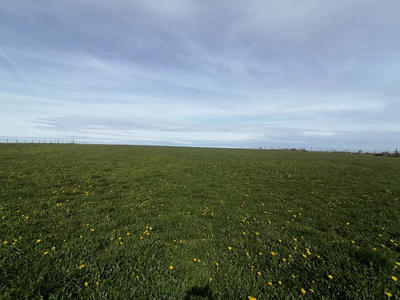 Terrain - 11 117 m²