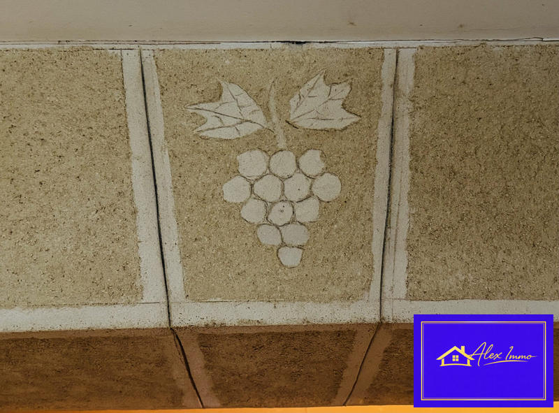 Maison - 196 m² - 5 pièces