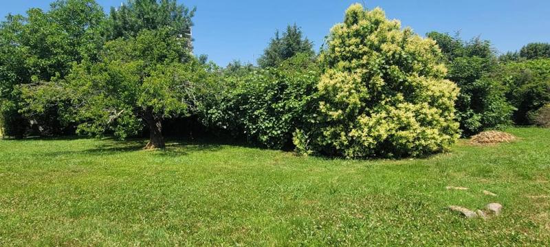 Maison - 150 m² - 1 pièce