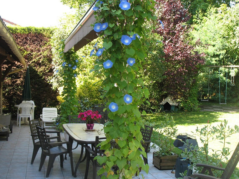 Maison - 113 m² - 5 pièces