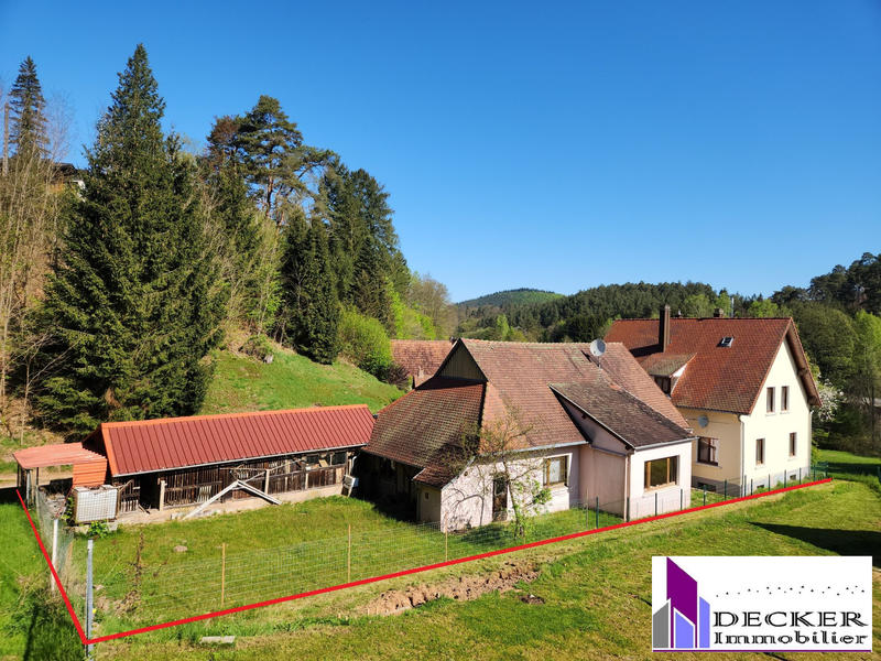 Maison - 239 m² - 10 pièces