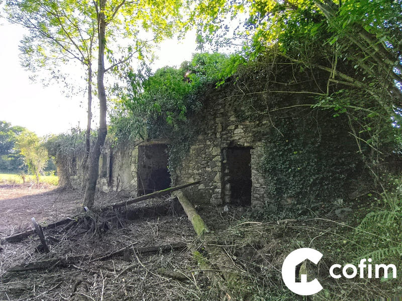 Maison ancienne - 160 m² - 4 pièces