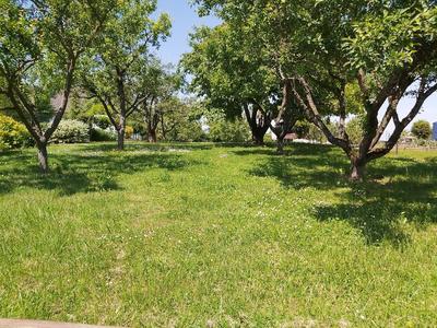 Terrain - 1 220 m²