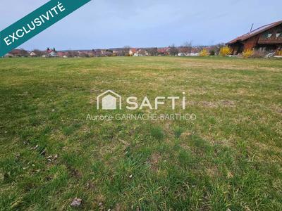Terrain - 1 317 m²