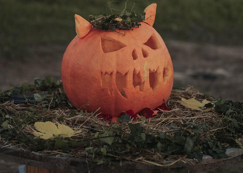 Fête de la citrouille et Halloween, à la Cueillette de l'Aragnon
