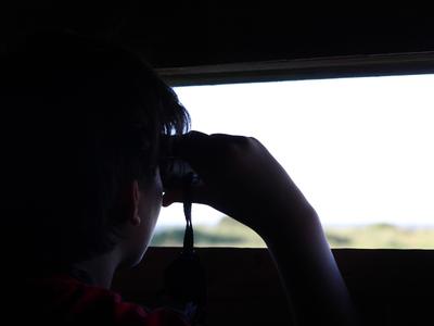Nocturnes Chouette et Compagnie à Terres d'Oiseaux