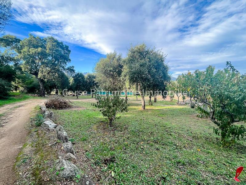 Terrain de loisirs - 1 020 m²