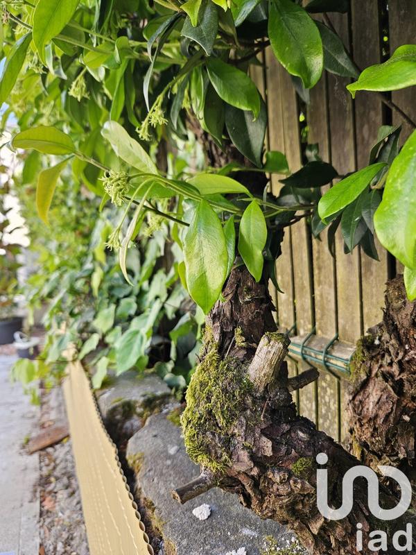 Maison de ville - 107 m² - 6 pièces