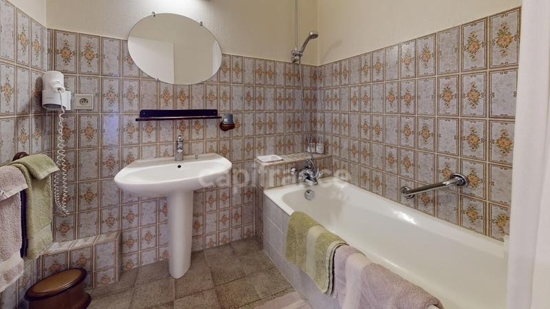 Manoir - 1 359 m² - 26 pièces