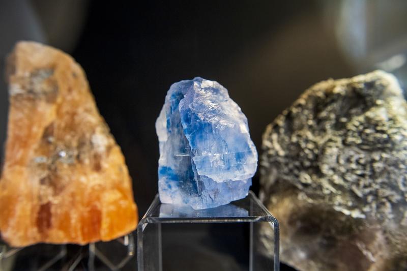 Visite guidée - un dimanche au musée