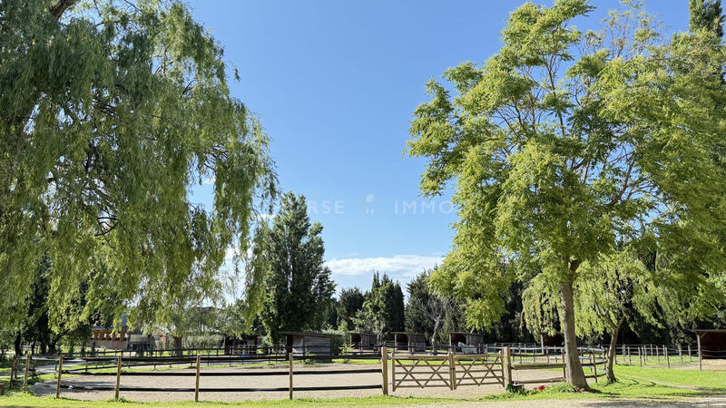 Maison - 160 m² - 5 pièces