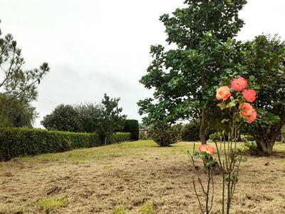 Terrain constructible - 1 200 m²