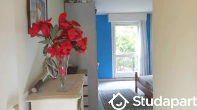 Chambre - 16 m² - 1 pièce