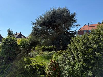 Maison - 264 m² - 9 pièces