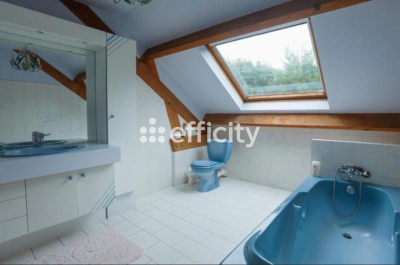 Maison - 300 m² - 9 pièces