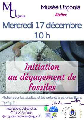 Atelier d'initiation au dégagement de fossiles