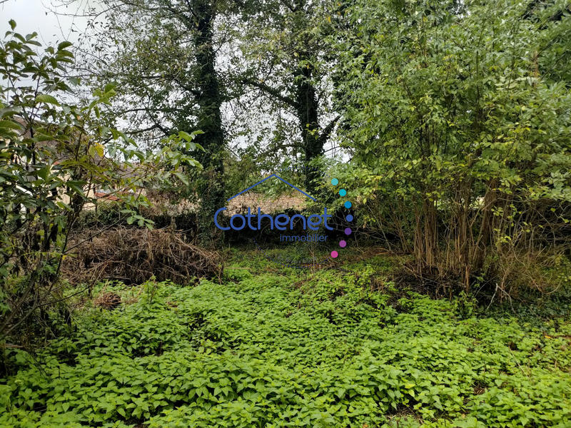 Maison ancienne - 125 m² - 5 pièces