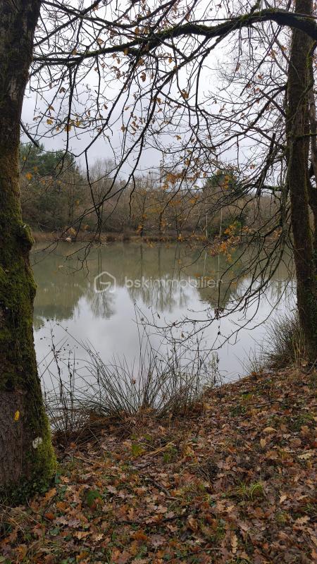 Étang - 81 372 m²