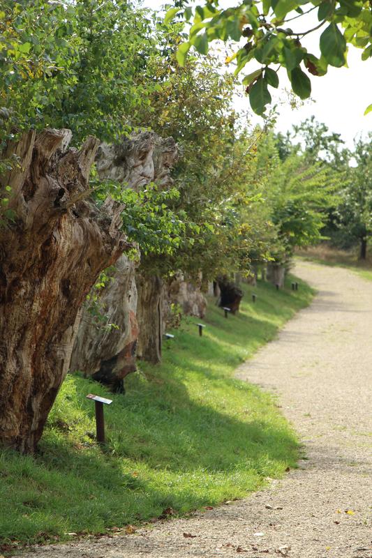 Concours " les Couleurs du Temple et du Perche"