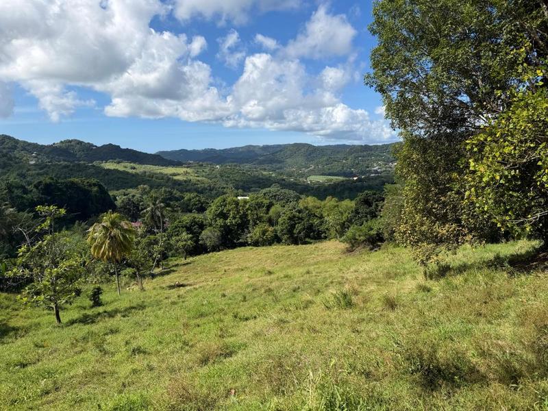 Terrain constructible - 1 200 m²