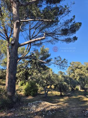 Maison - 132 m² - 6 pièces